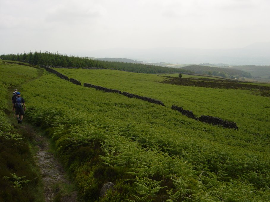 En route to Waddington